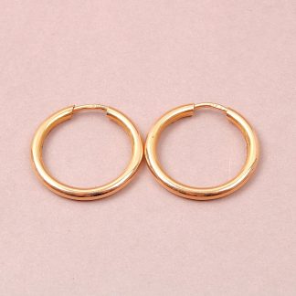 PAR ÖRHÄNGEN ø1,8CM. LITE BUCKLOR