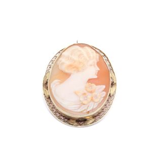 BROSCH / HÄNGE MED CAMÉ 43x33MM - RAM I 14K GULD - OBS! BUCKLIG OCH OJÄMN - VIKT INKL SNÄCKA & NÅL I METALL: